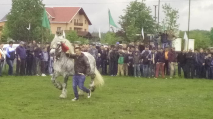 IMG_20160508_132603 - TARG DE CAI - HORODNICUL DE SUS - MAI 2016