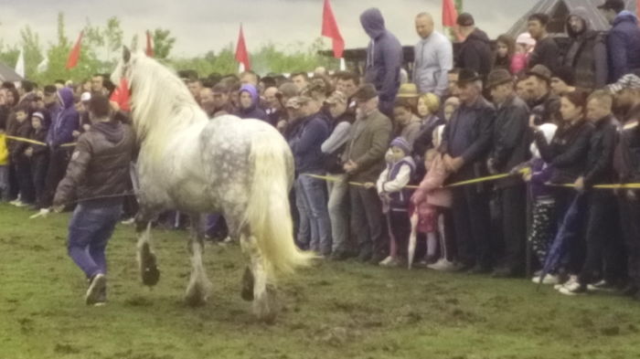 IMG_20160508_132616 - TARG DE CAI - HORODNICUL DE SUS - MAI 2016