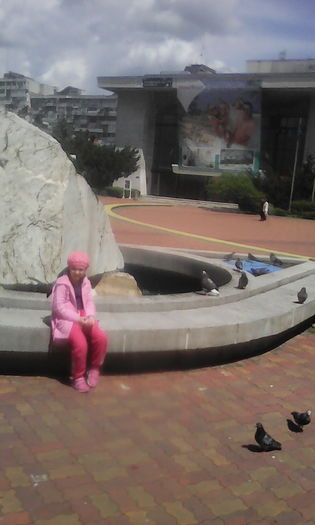 IMG_20160507_123339 - veronica scoala