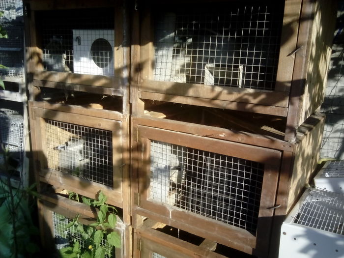 IMG_20160427_184733; Custi de lemn de vanzare echipate complet tavita, adapator si hranitor
