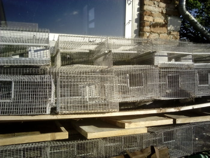 IMG_20160427_184658 - CRESCATORIA MEA