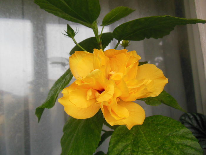 DSCN0334 - 2011-2015