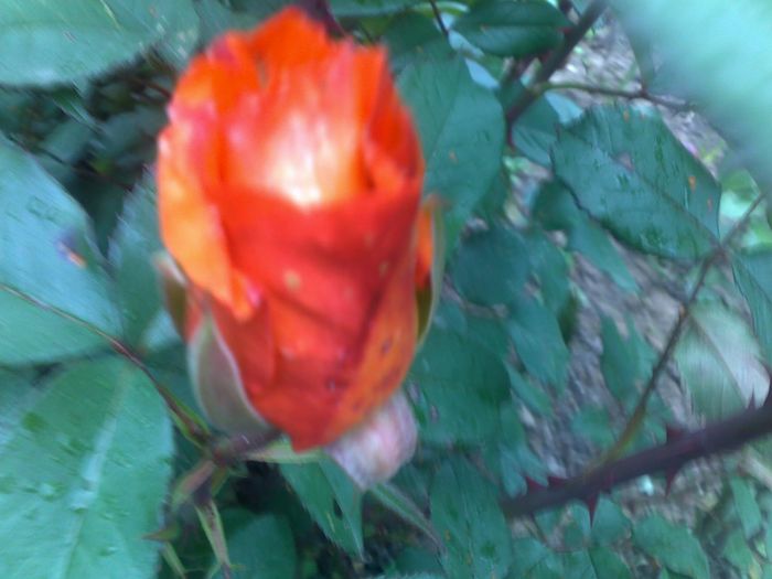 110520163048