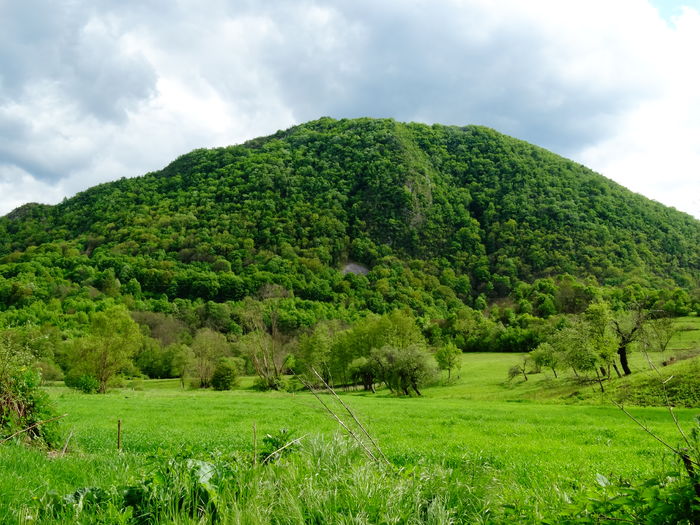 DSC06666 - De prin natura 2016