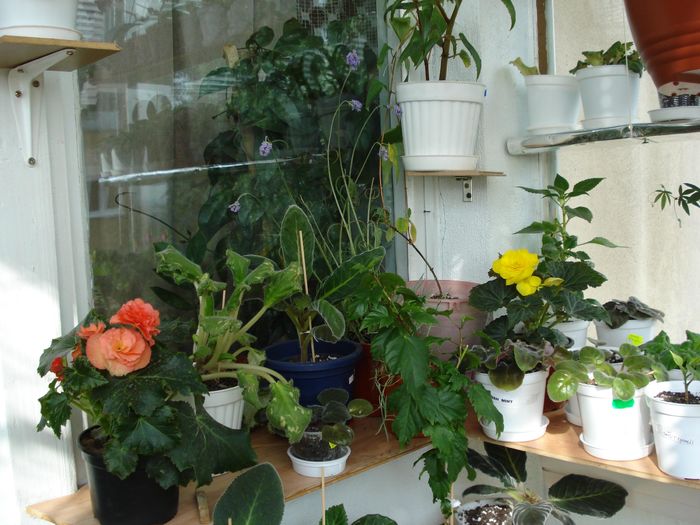 2734143930102308412ESHZOl_fs