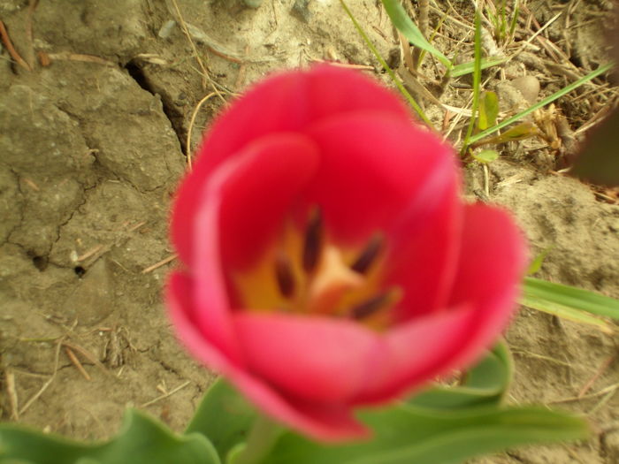 SAM_0041
