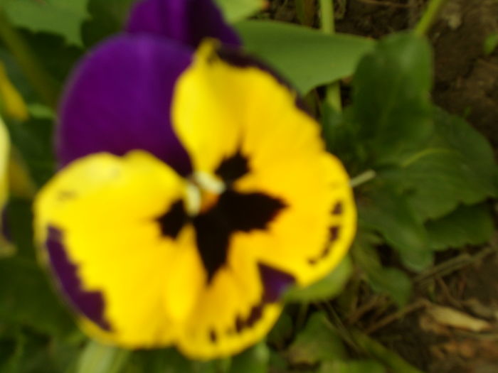 SAM_0046