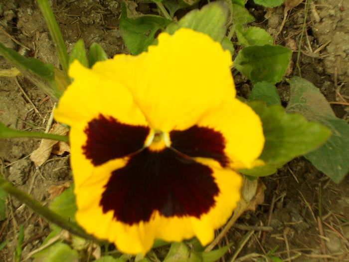 SAM_0047