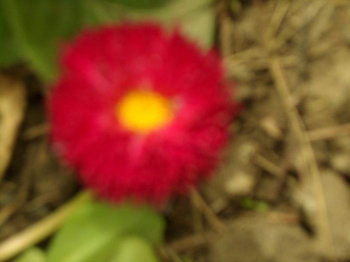 SAM_0049