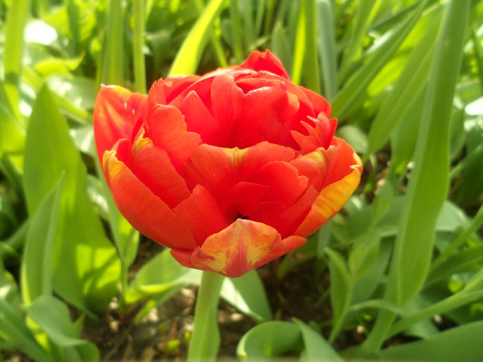 SAM_0024