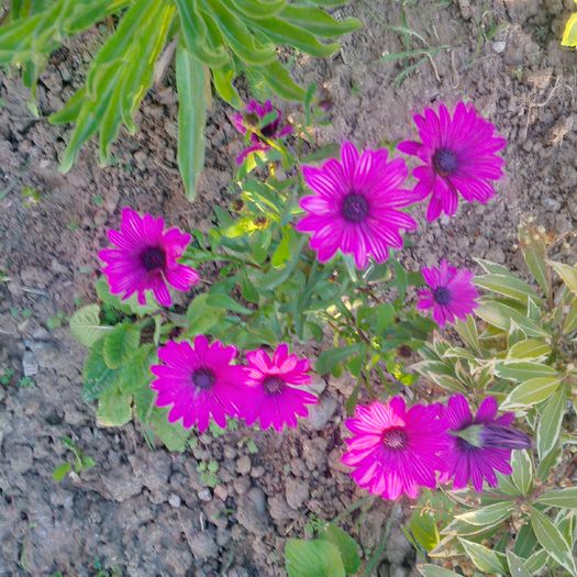 IMG_20160510_195440_hdr