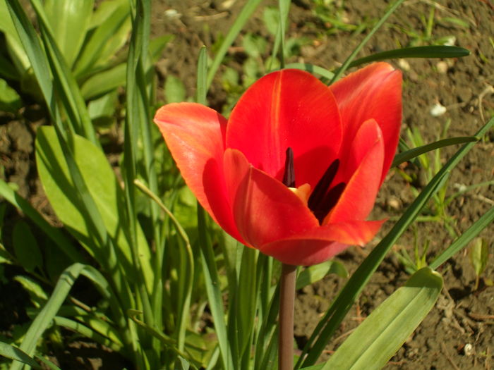 SAM_0020