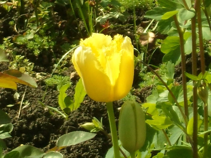 SAM_0046