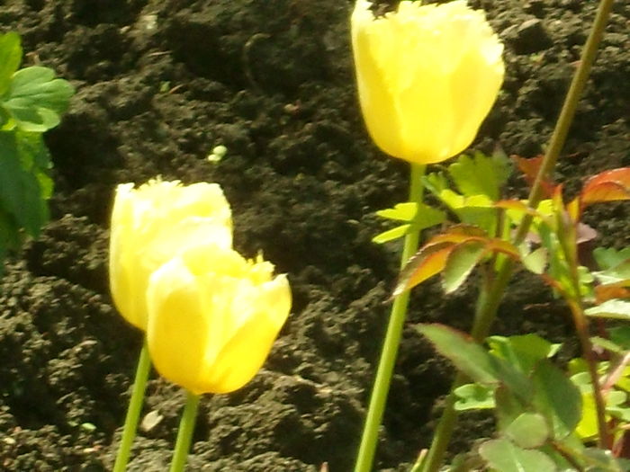 SAM_0047