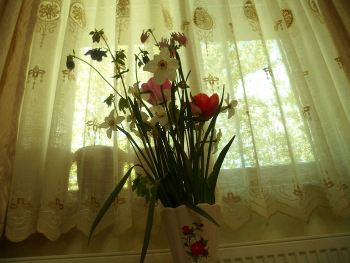 SAM_0077