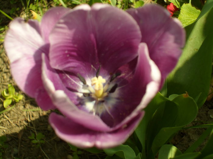 SAM_0068