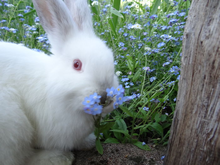  - E Florar in calendar