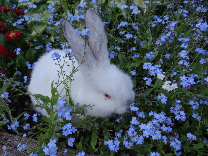  - E Florar in calendar