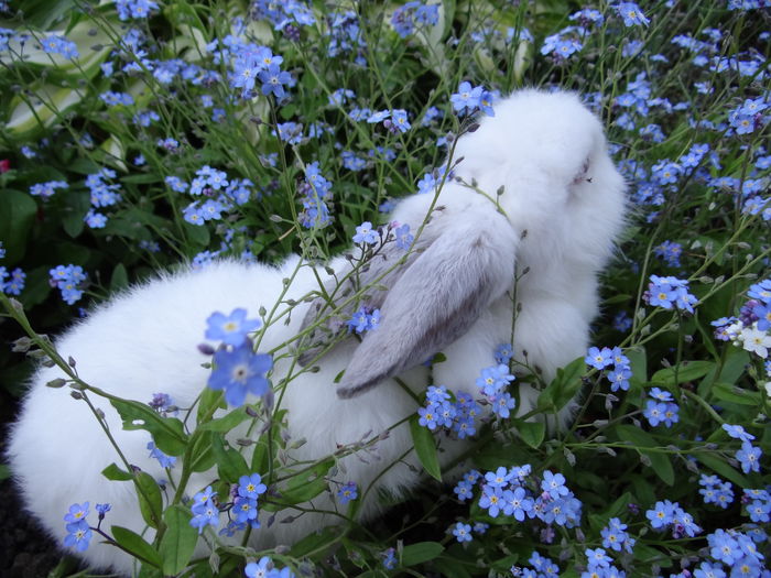  - E Florar in calendar
