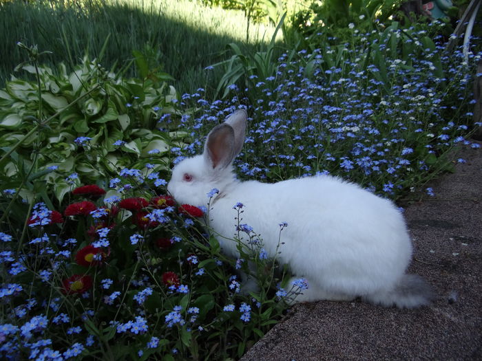  - E Florar in calendar