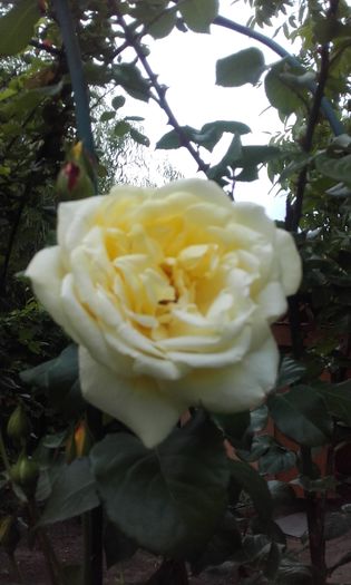 20160510_193053