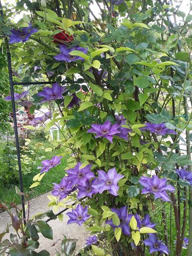 20160510_161731
