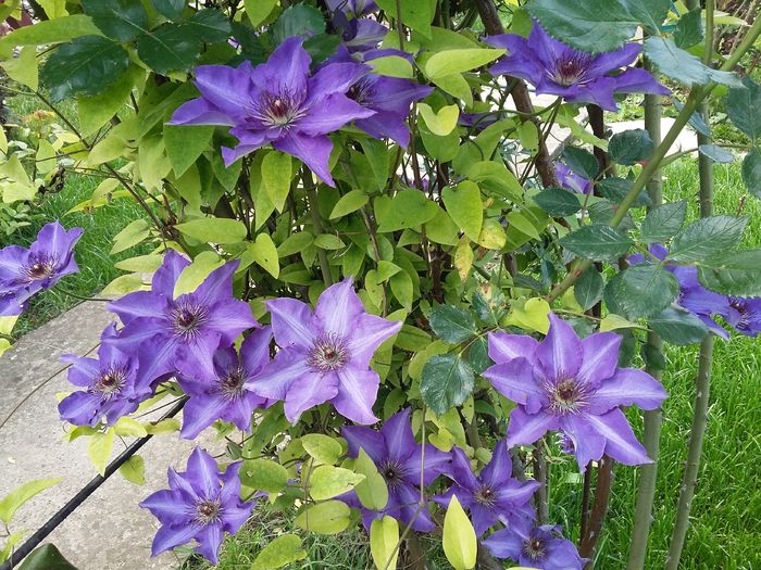 20160510_161752