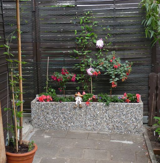 P1820136 - 2016 - 01 - Primavara