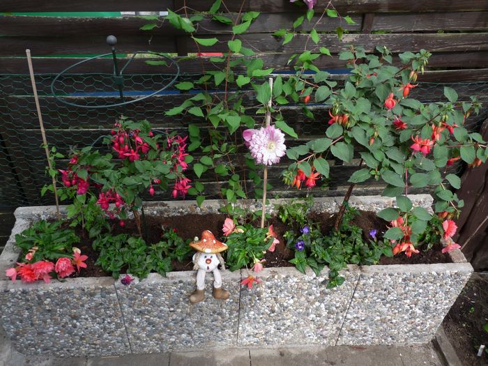 P1820160 - 2016 - 01 - Primavara