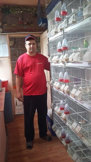 13087900_1183087515069243_5243394876135628906_n