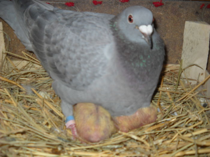 DSCN0372