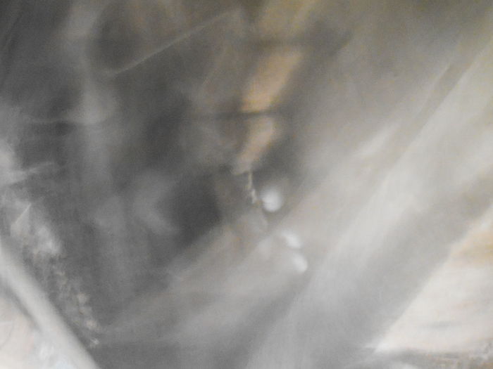 DSCF8525