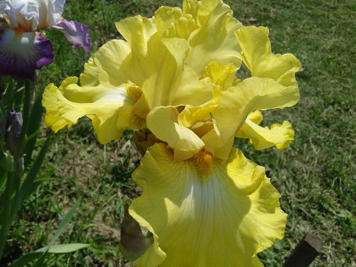 20160511_115535