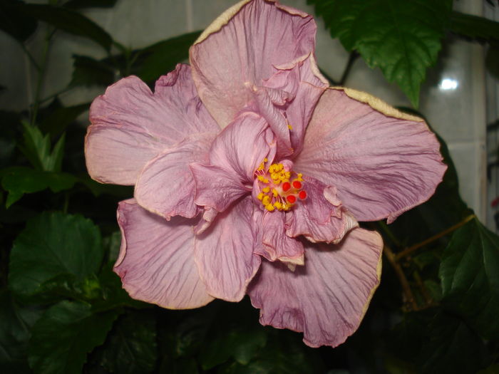 DSC05344