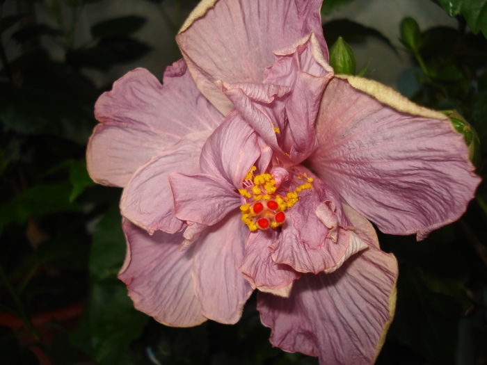 DSC05345