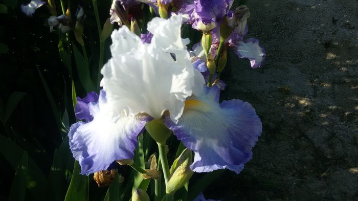 038