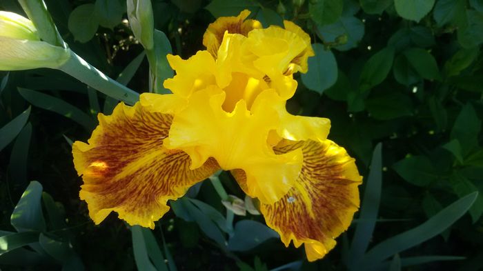 042