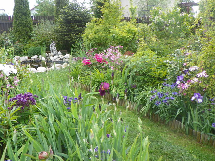12 mai (78) - Gradina 2016