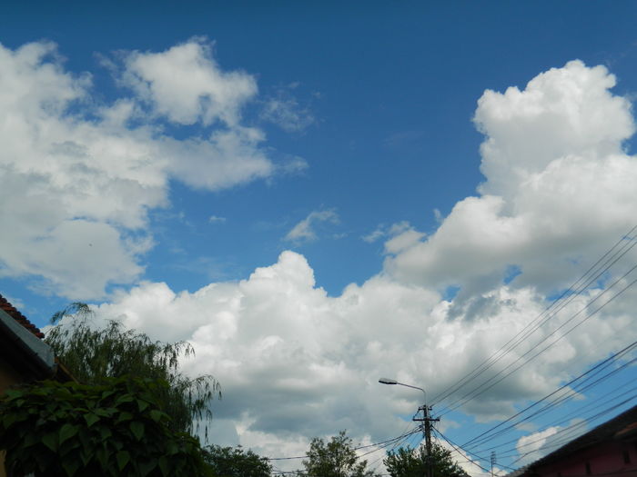 DSCN8178 - 2016 MAI_2