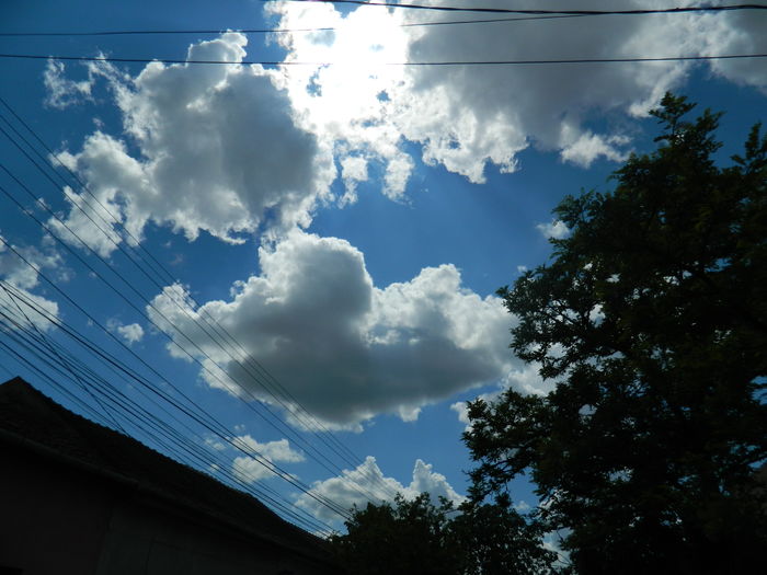 DSCN8179 - 2016 MAI_2