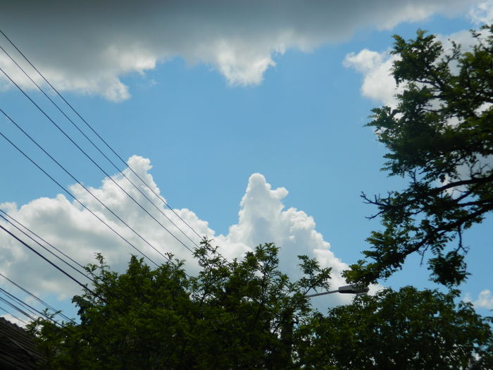 DSCN8180 - 2016 MAI_2