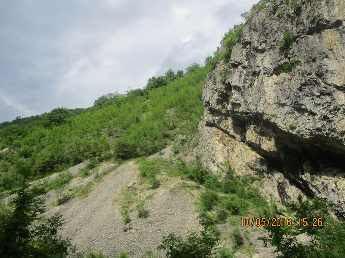 IMG_2877 - Valea Sohodolului in mai 2016