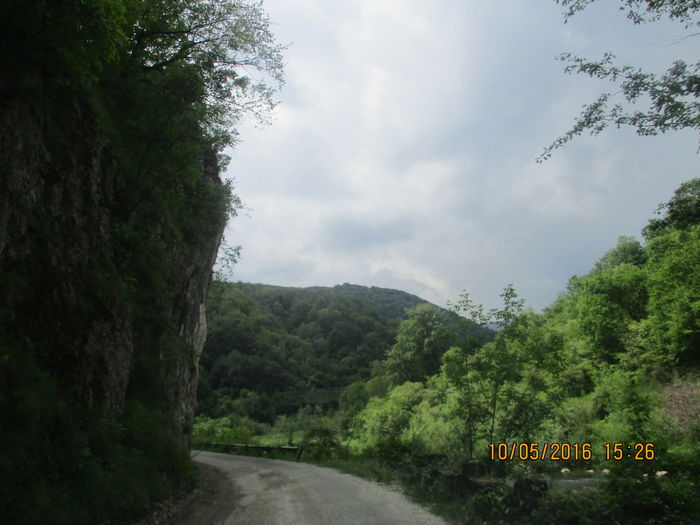 IMG_2878 - Valea Sohodolului in mai 2016