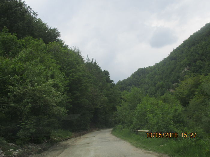IMG_2881 - Valea Sohodolului in mai 2016