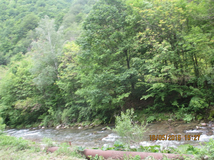 IMG_2883 - Valea Sohodolului in mai 2016