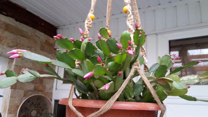 20160508_142244 - mai 2016