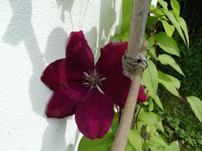 12.04 prima - b-primavara-2016