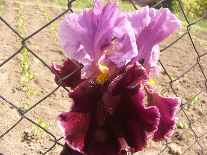 P1260242