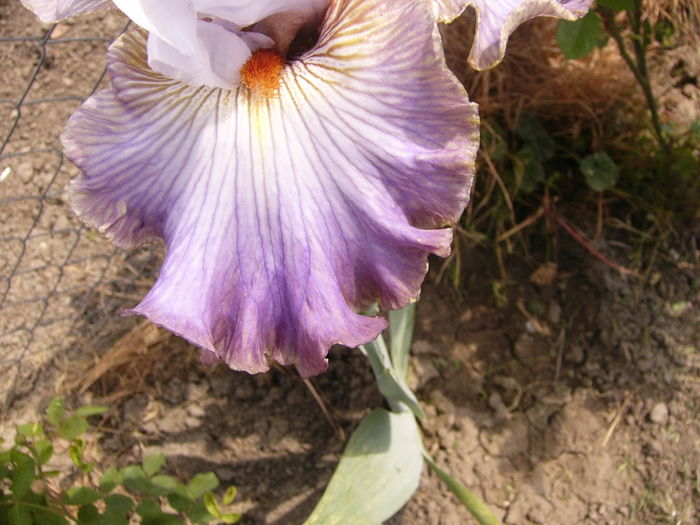 P1260244