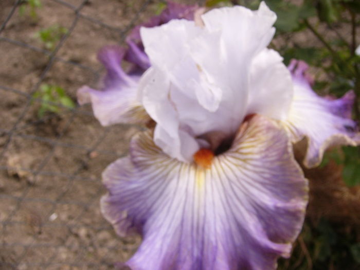 P1260245